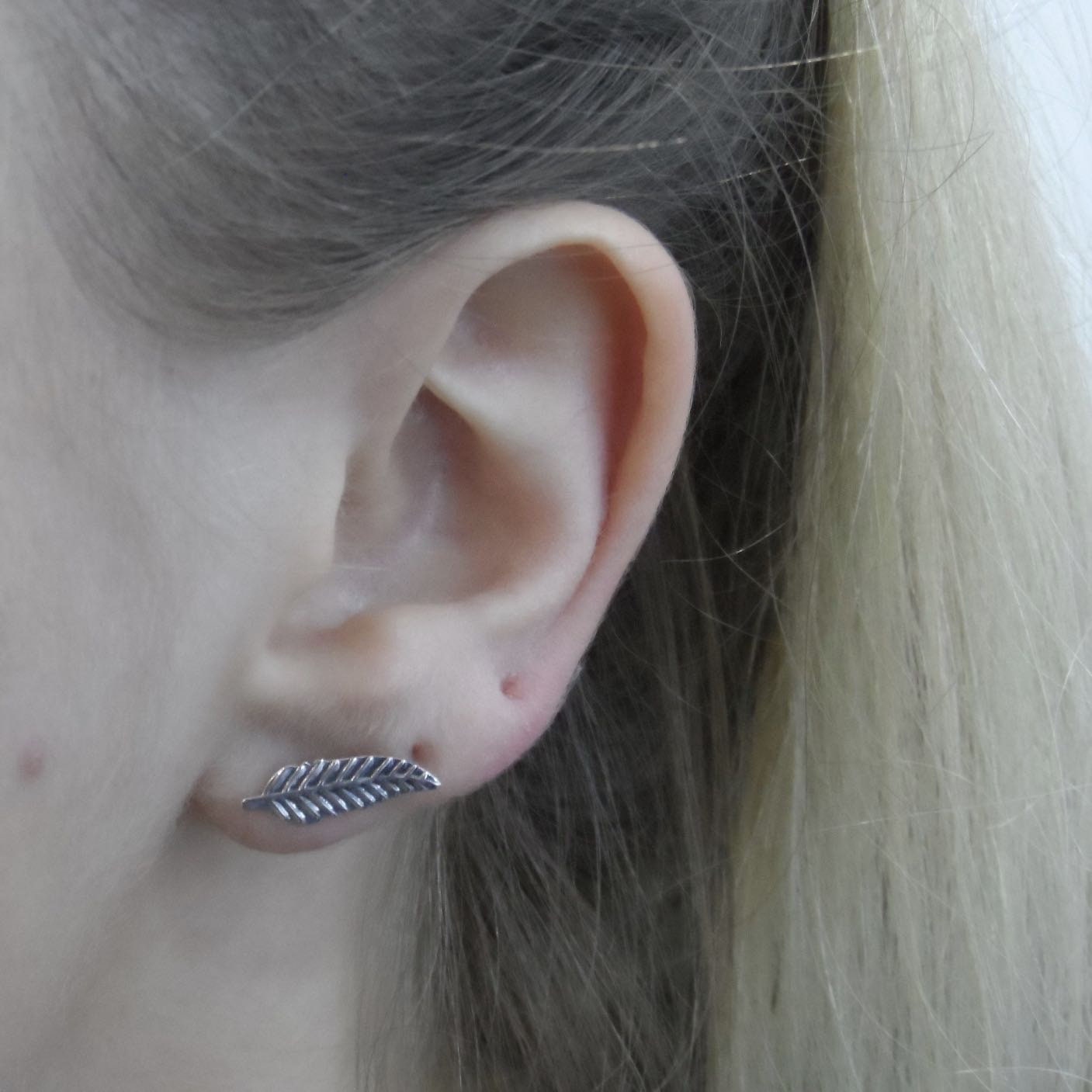 Feather Earrings in Sterling Silver