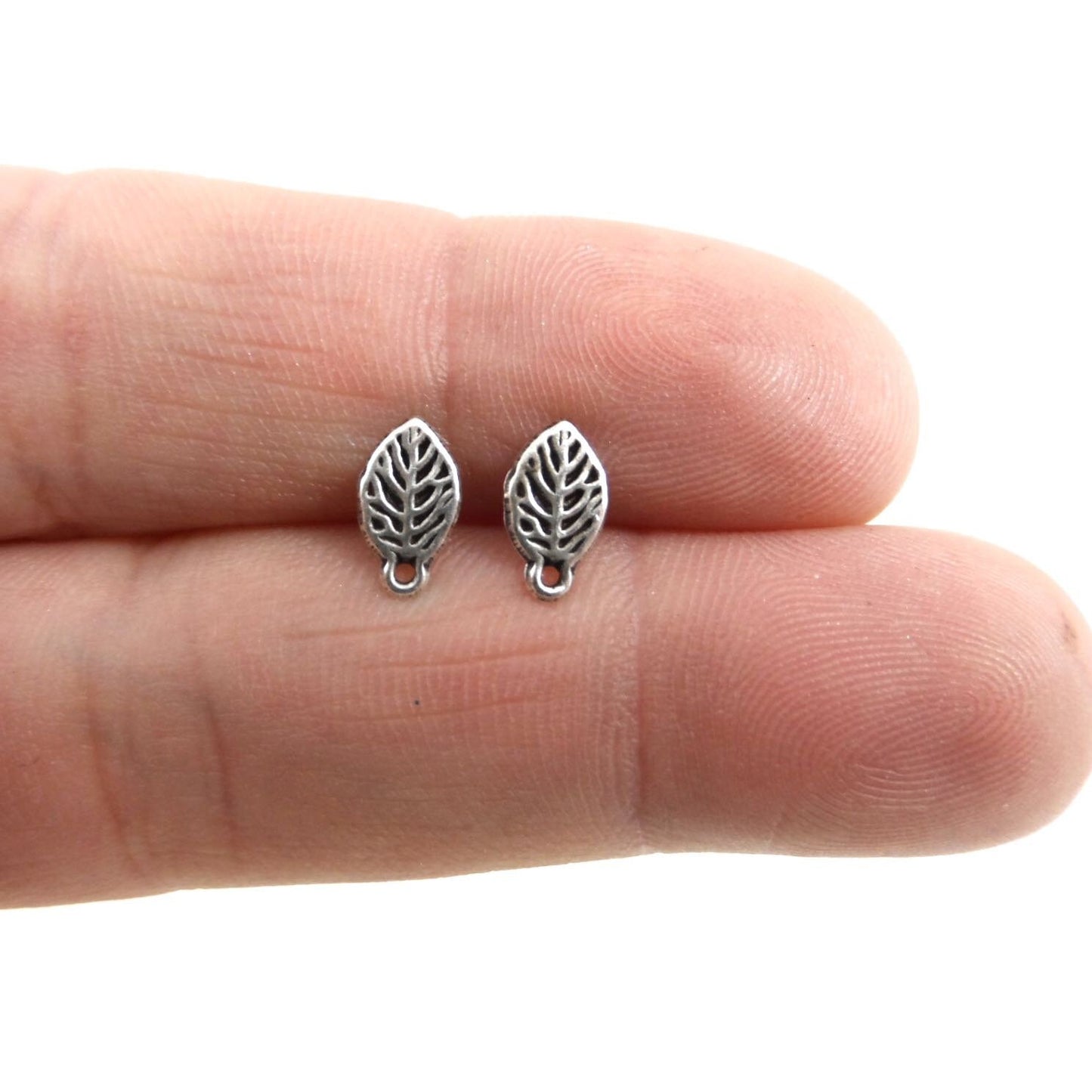 Leaf Stud Earrings in Silver