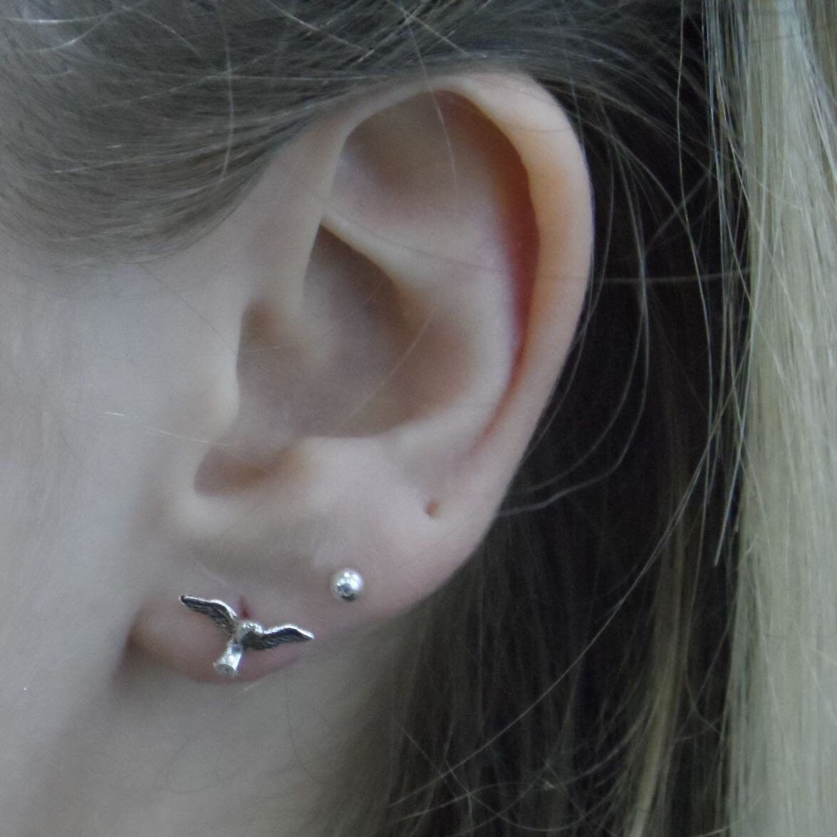 Sparrow Earrings in Sterling Silver